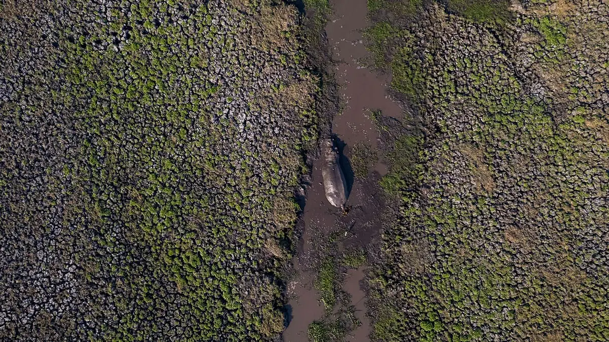 Big Rivers of Zambia — Lower Zambezi, South Luangwa