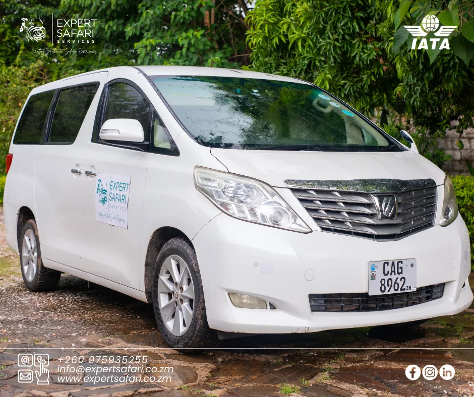 Toyota Alphard executive minivan, front three-quarter view