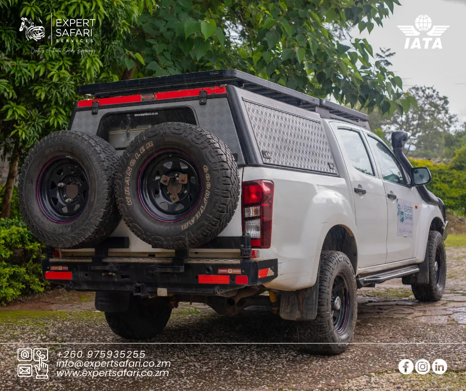 Isuzu safari truck, rear view showing the loading bed